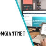 RandomGiantNet: Understanding the Evolution and Impact of a Revolutionary Platform