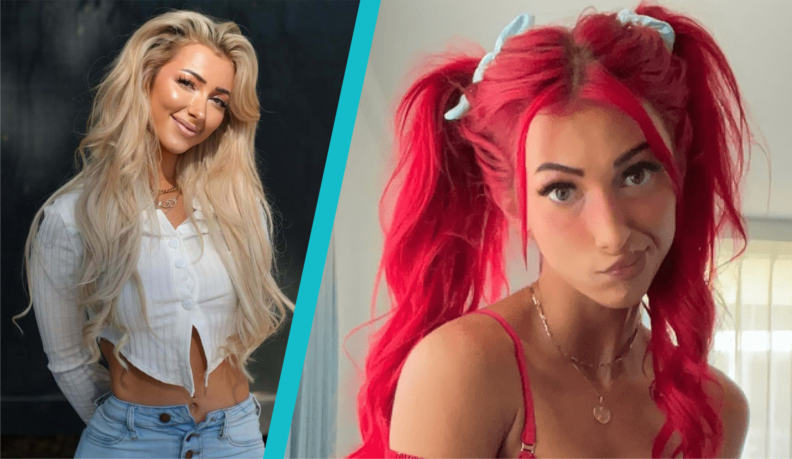 nala ray net worth