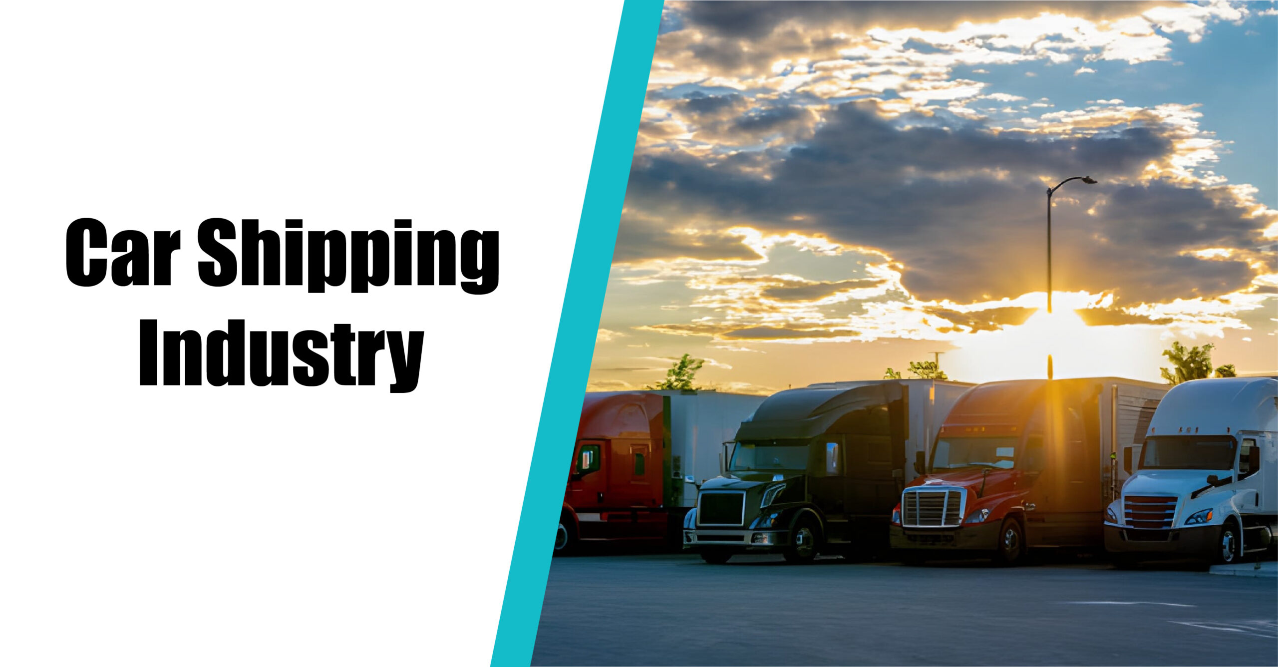 Car Shipping Industry