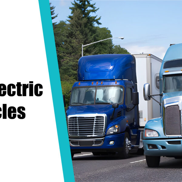 Exotic Electric Vehicles