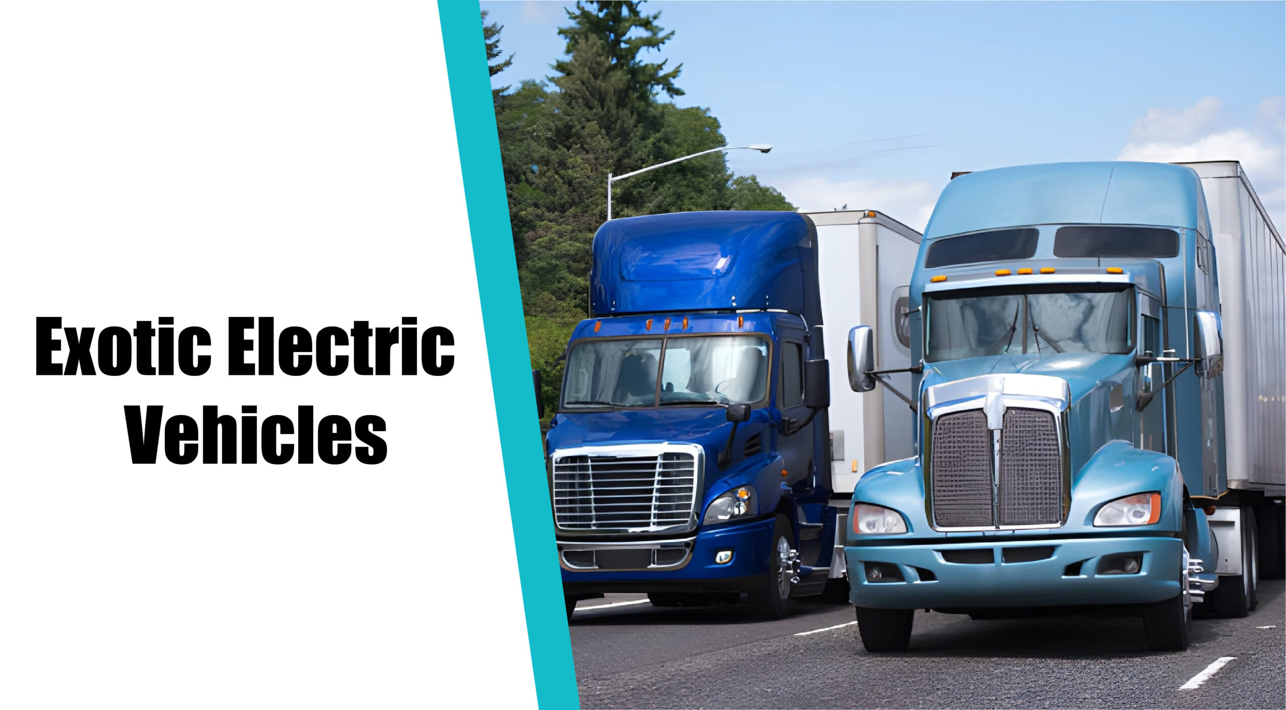 Exotic Electric Vehicles