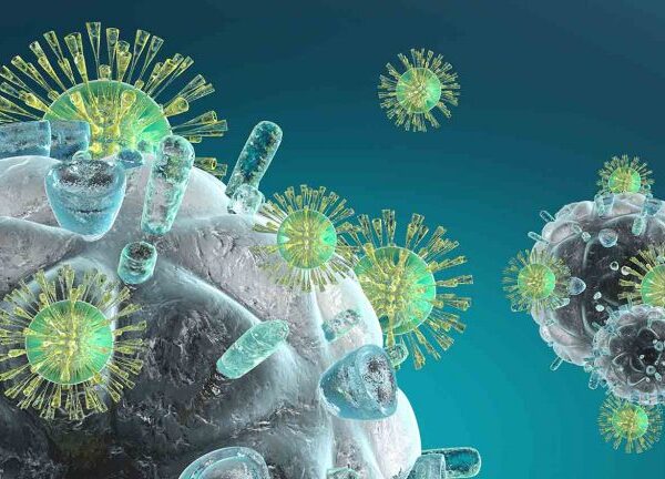 Leaky Gut Supplements for Stomach