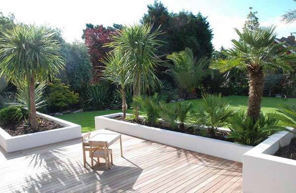 Plants Fit into Contemporary UK Homes